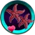 withLovefromDorneSeaside.png.webp