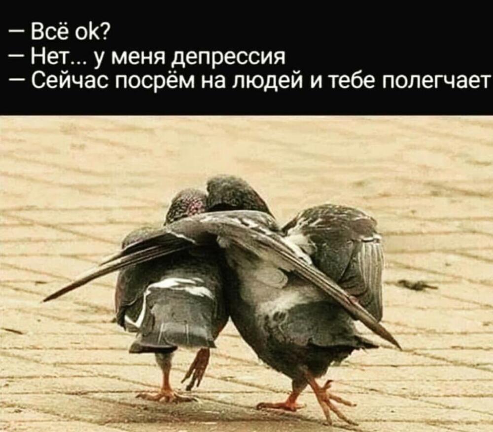 XsvtIh1Mof.jpg.jpeg