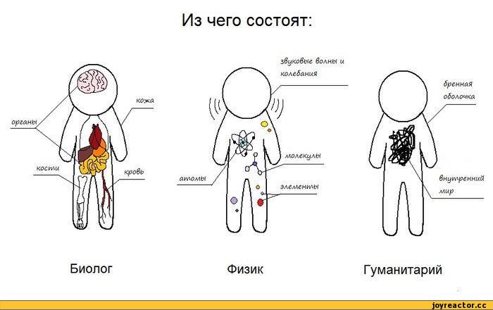 %D0%B1%D0%B8%D0%BE%D0%BB%D0%BE%D0%B3%D0%B8%D1%8F-%D1%84%D0%B8%D0%B7%D0%B8%D0%BA%D0%B0-%D0%BD%D0%B0%D1%83%D0%BA%D0%B0-%D0%B3%D1%8.jpeg