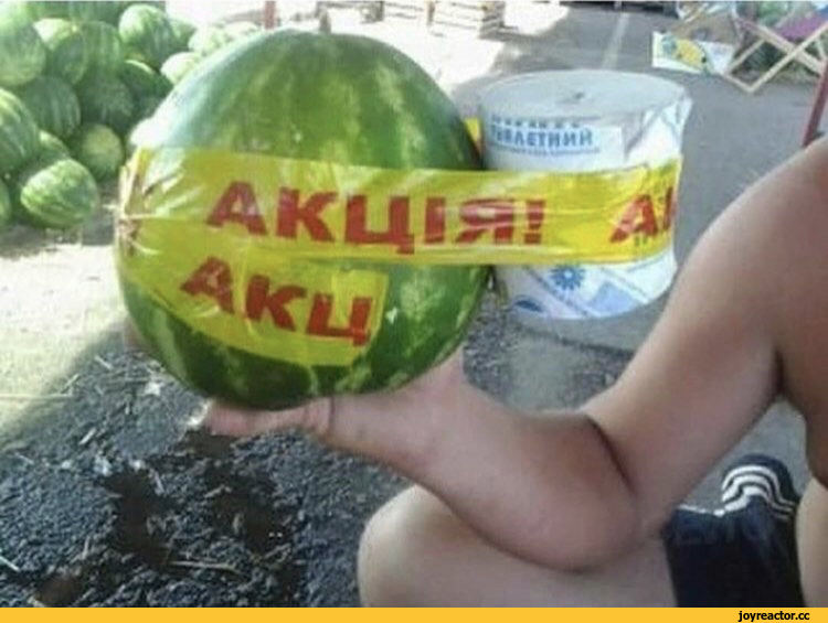 %D0%B0%D1%80%D0%B1%D1%83%D0%B7-%D1%82%D1%83%D0%B0%D0%BB%D0%B5%D1%82%D0%BD%D0%B0%D1%8F-%D0%B1%D1%83%D0%BC%D0%B0%D0%B3%D0%B0-%D0%B.jpeg
