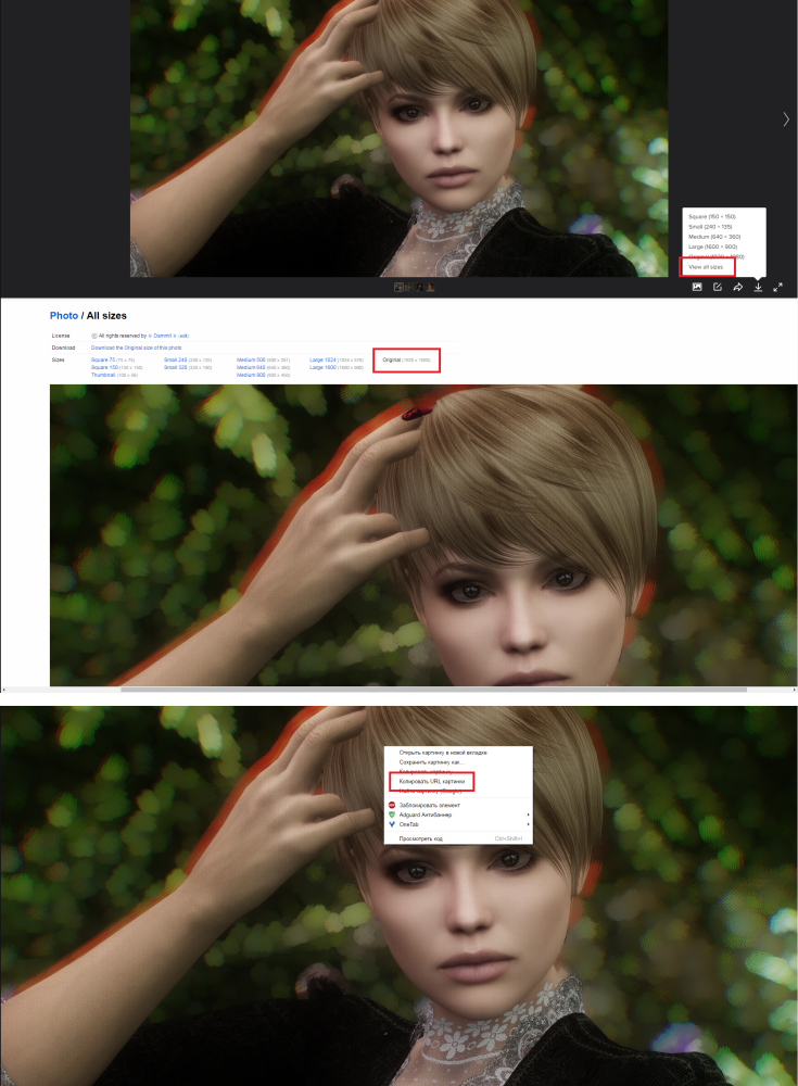 00ea52182f48.png.webp.png