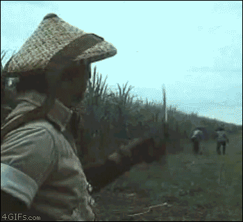 016.gif
