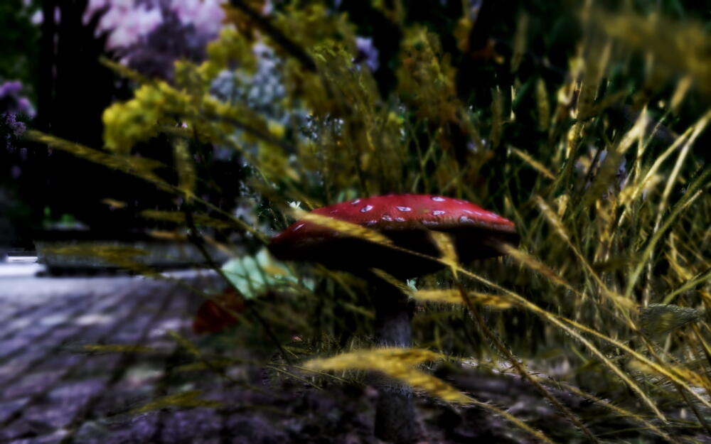 07f6469e9725db7593ed0dc087b9a2e5.jpg.jpeg