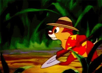 0d134438ac77.gif