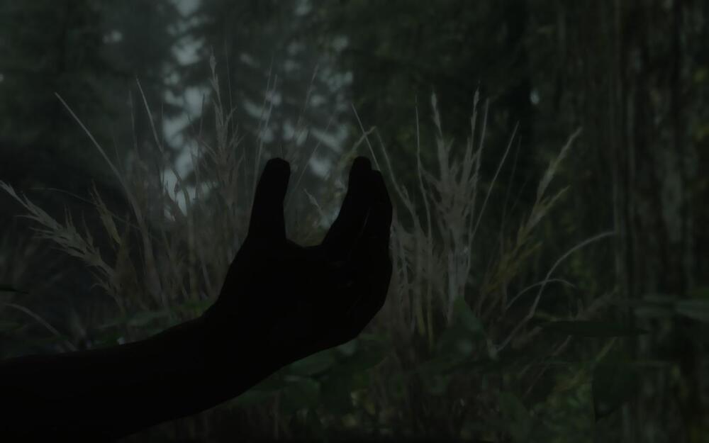 10059724ece0.jpg.jpeg