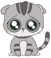 12.gif