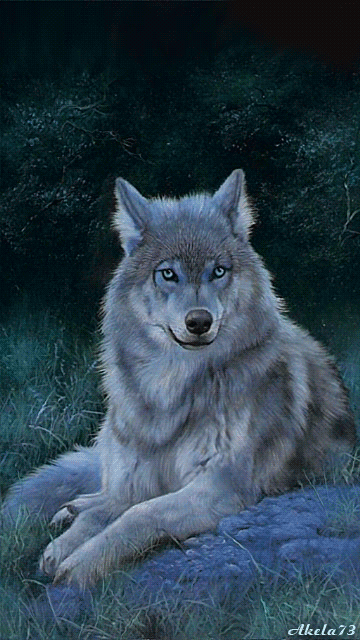 120062387.gif