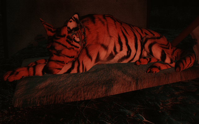 12225314_m.png.webp.png