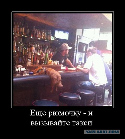 1229328.jpg.jpeg