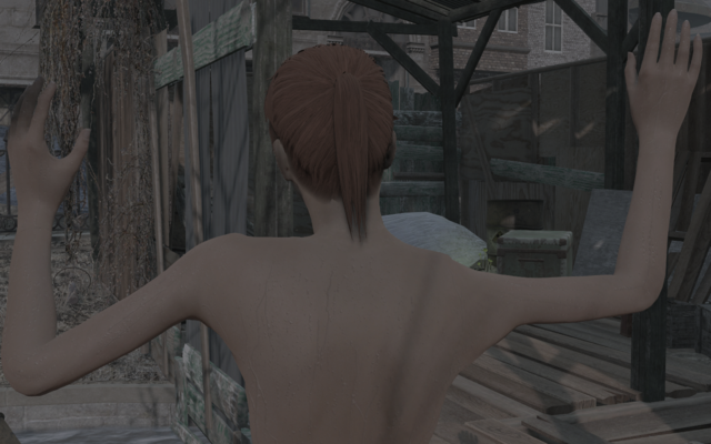 12463572_m.png.webp.png