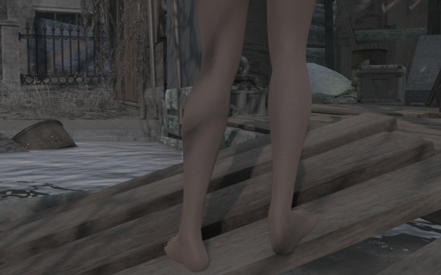 12463594_m.png.webp.png