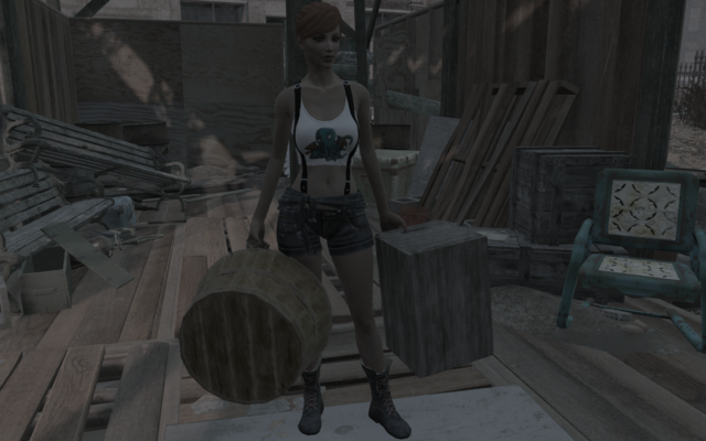 12463598_m.png.webp.png