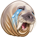 128.png.png
