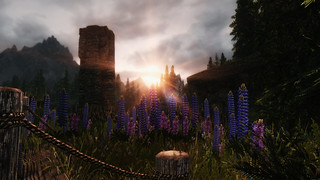 13108552905_5bfe3251cb_n.jpg.jpeg