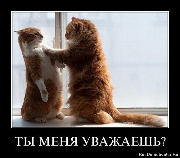 1320425942_z3nju1xeupt0.jpg.jpeg