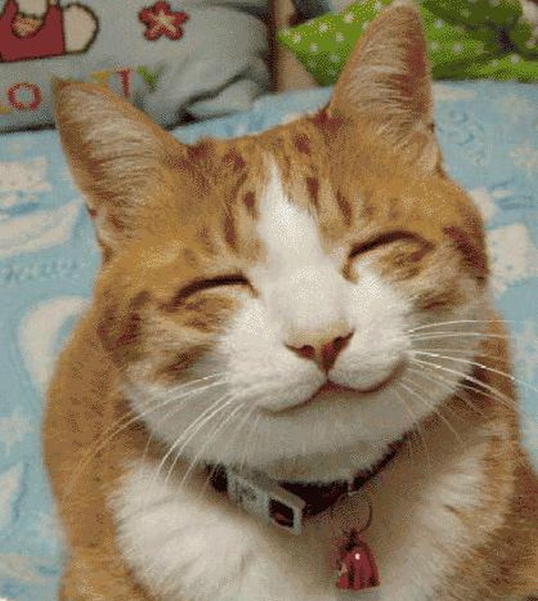 1320988837_they-find-you-amusing14.jpg.jpeg