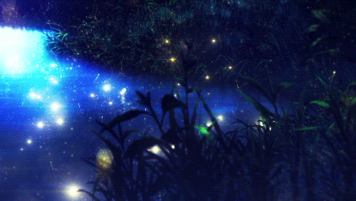 133418388_20966059.gif