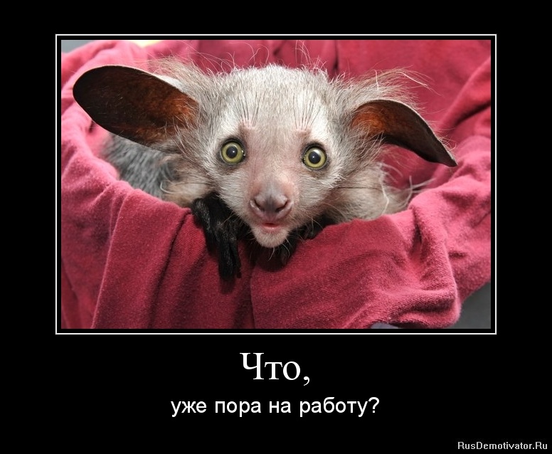 1335296760-chto.jpg.jpeg
