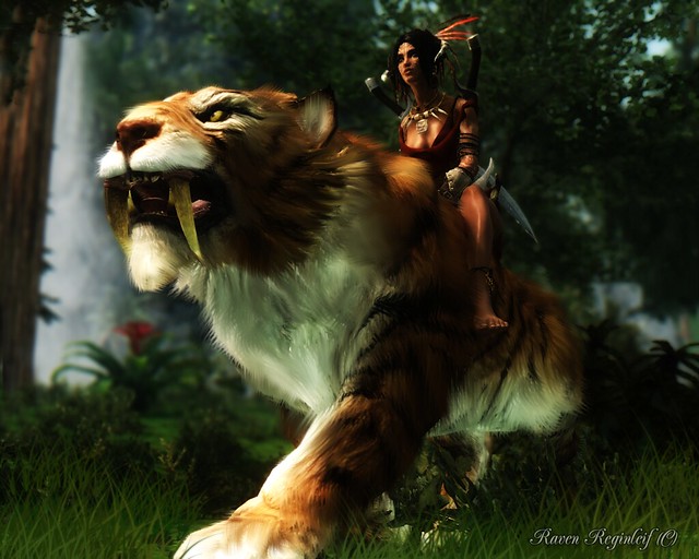 13380306703_c95016fa14_z.jpg.jpeg