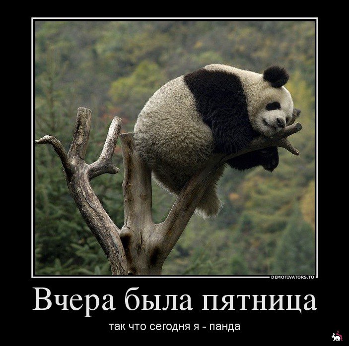 1339825251_34535436_vcherabyilapyatnitsa.jpg.jpeg