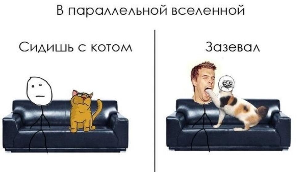 1340058588_00.jpg.jpeg