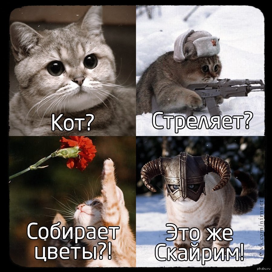 1380404374_1658302475.jpg.jpeg