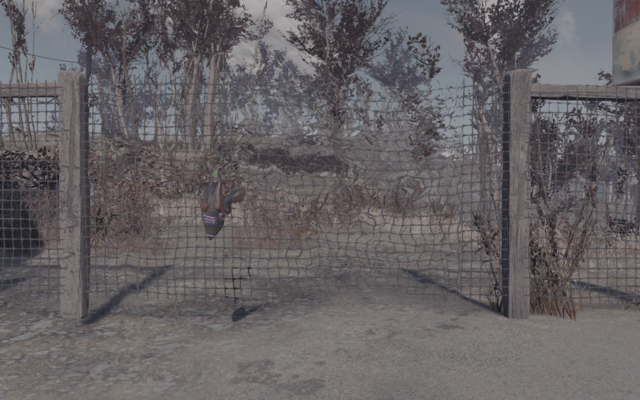 13900795_m.png.webp.png