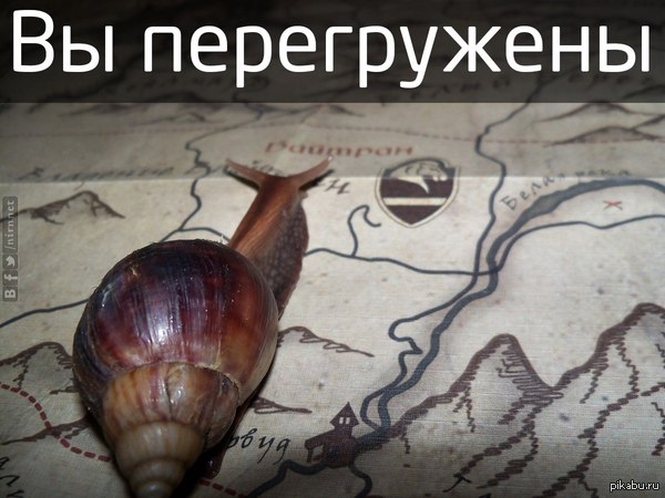 1393803139_731467048.jpg.jpeg