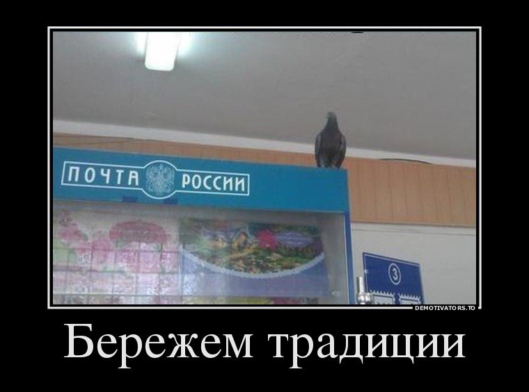 1401085280_demki-1.jpg.jpeg