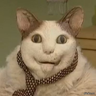 1406828003_99111015.jpg.jpeg