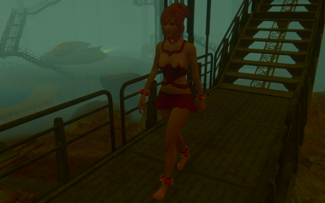 14094649_m.png.webp.png