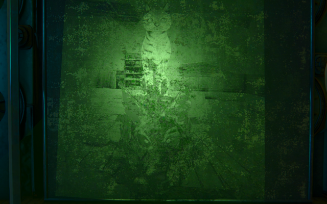 14107356_m.png.webp.png