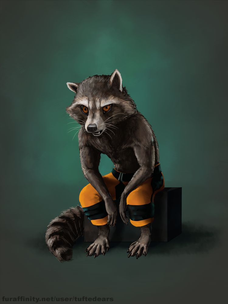 1411070270.tuftedears_rocket.png.webp.png
