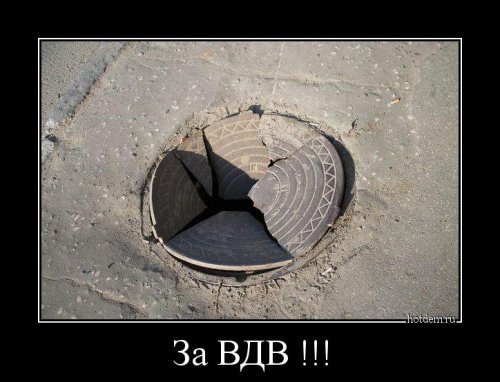 1412666407_demy-9.jpg.jpeg