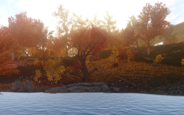 14169602_m.png.webp.png