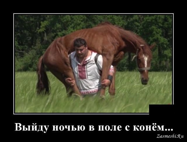 14254-Kogda-kon-malenko-ustal.jpg.jpeg