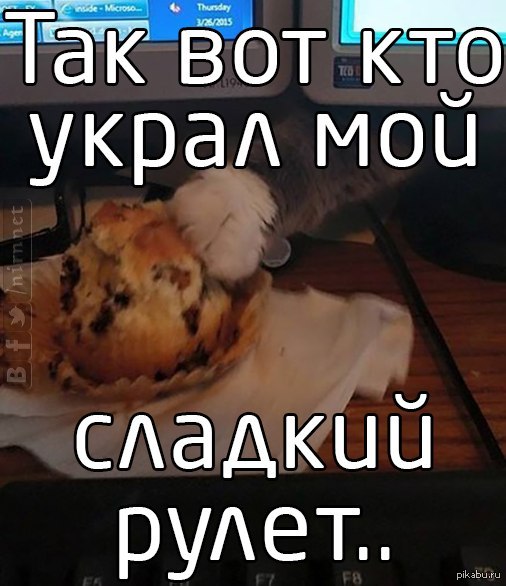 1428063438_472238114.jpg.jpeg