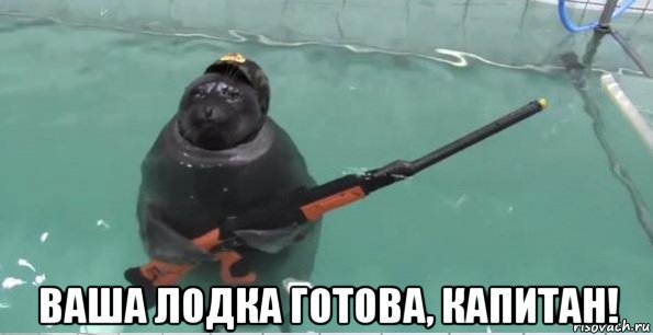 14312415524752.jpg.jpeg