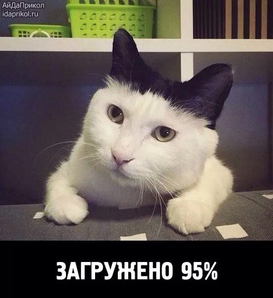 1431518757_1431490922_f4zyiqoclu8.jpg.jpeg