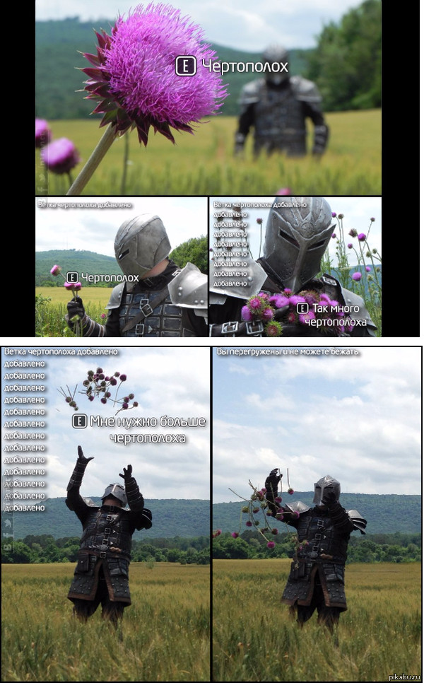 1433440243_1729152915.jpg.jpeg
