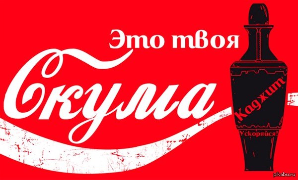 1433934225_1331229624.jpg.jpeg