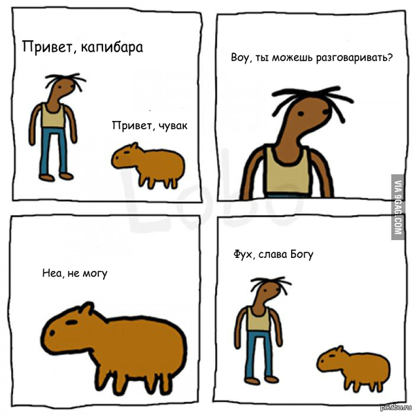 1438459685_3748792.jpg.jpeg