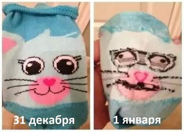 1451984318_16.jpg.jpeg