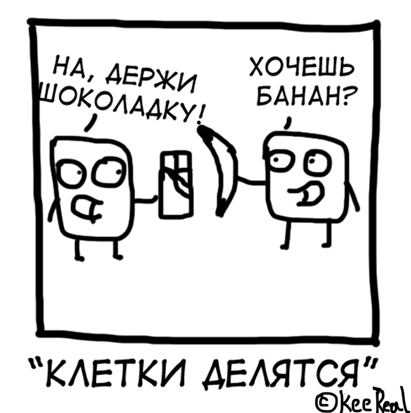 1454994385130672156.png.png