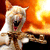 145819837.gif