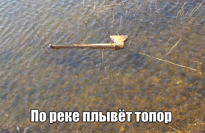 1461862111_kartinki-9.jpg.jpeg