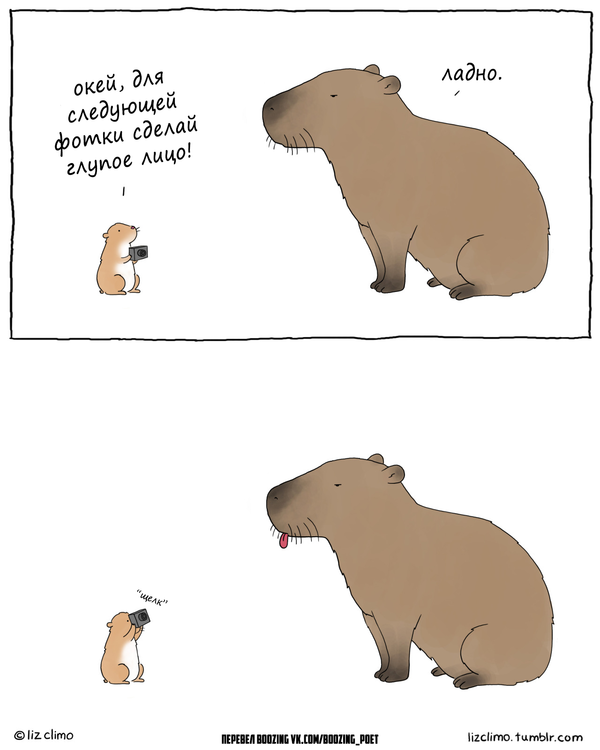 1474011208170246576.png.png