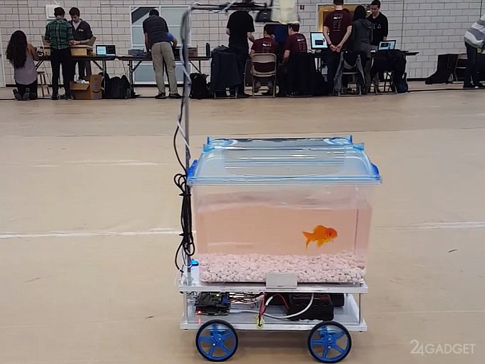 1485520019_fishcar-001.jpg.jpeg