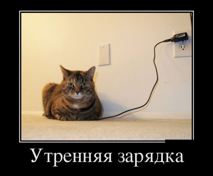 1492541525_022.jpg.jpeg