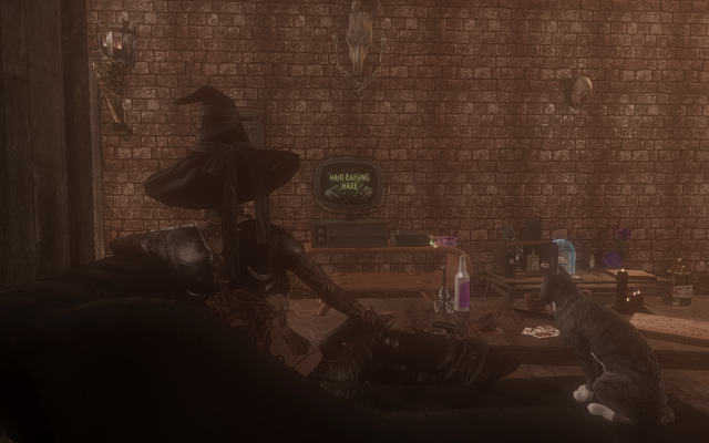 15013631_m.png.webp.png